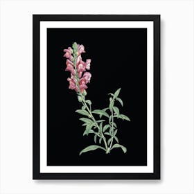 Vintage Red Dragon Flowers Botanical Illustration on Solid Black n.0066 Art Print