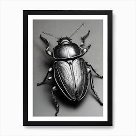 Beetle 1 Poster