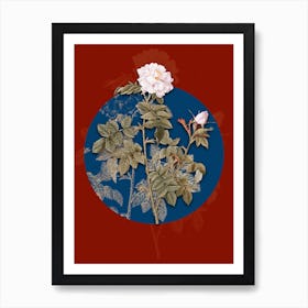 Vintage Botanical Pink Rosebush on Circle Blue on Red n.0329 Art Print
