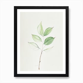 Viburnum Leaf Minimalist Watercolour 1 Art Print