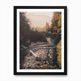 A Pacific Northwest River PNW Art Print