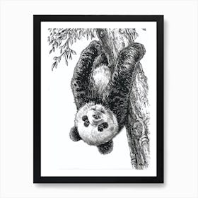 Giant Panda Cub Hanging Upside Down From A Tree Ink Illustration 4 Art Print