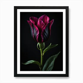 Dark Tulip Art Print