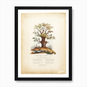 The Royal Allied Oak And Self Created Mushroom Kings, James Heath Art Print