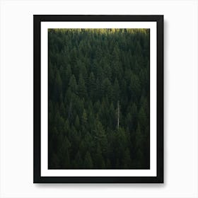 Green Forest Wall Art Art Print