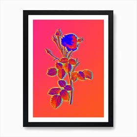 Neon Provence Rose Botanical in Hot Pink and Electric Blue Art Print