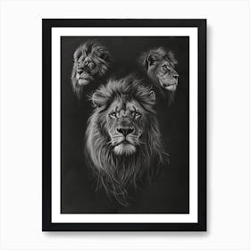 Barbary Lion Charcoal Drawing 2 Art Print