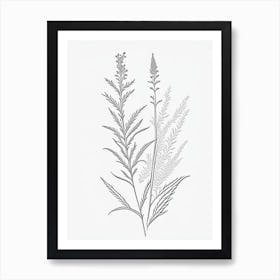 Vervain Herb William Morris Inspired Line Drawing Art Print