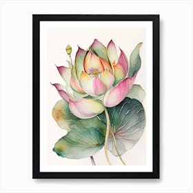 Lotus Flower Petals Watercolour Ink Pencil 1 Art Print