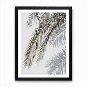 Palms And Shadows Art Print