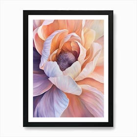 Peony Flower 1 Art Print