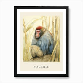 Beatrix Potter Inspired  Animal Watercolour Mandrill Art Print