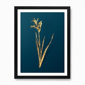Vintage Gladiolus Cunonius Botanical in Gold on Teal Blue n.0057 Art Print