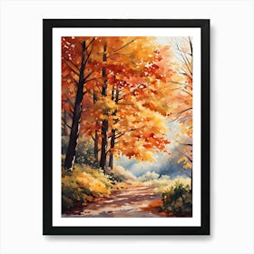 Autumn In The Woods 6 Art Print