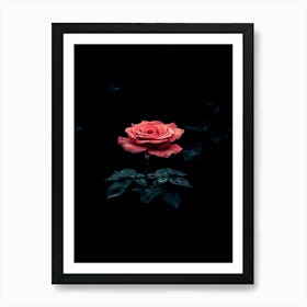 Dark Rose 152 Art Print