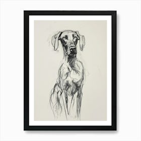 Weimaraner Dog Charcoal Line 1 Art Print