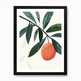 Lychee Close Up Illustration 1 Art Print