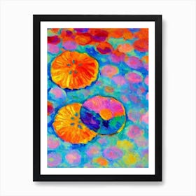 Sand Dollar Matisse Inspired Art Print