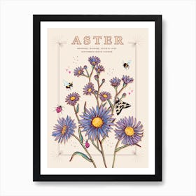 September Birth Flower Aster On Cream Art Print