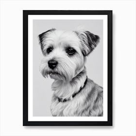 Dandie Dinmont Terrier B&W Pencil Dog Art Print