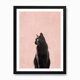 Black Cat Peach Art Print