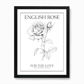 English Rose Black And White Line Drawing 41 Poster Art Print