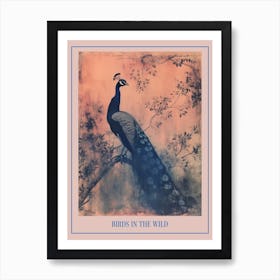 Pink & Blye Peacock In A Tree Cyanotype Inspired 2 Poster Art Print