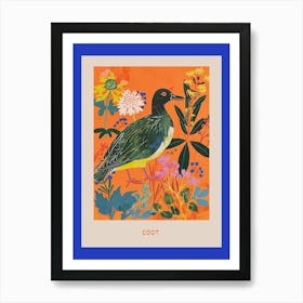 Spring Birds Poster Coot 2 Art Print