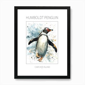 Humboldt Penguin Carcass Island Watercolour Painting 4 Poster Art Print