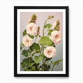 Floral Illustration Hollyhock 1 Art Print