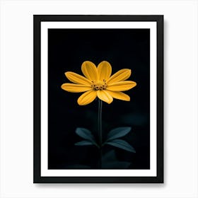 Single Yellow Flower 8 Art Print