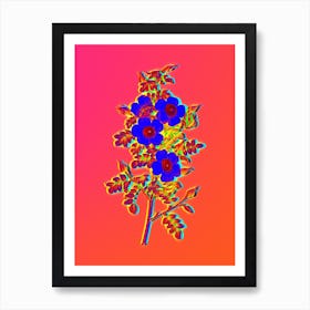 Neon Thornless Burnet Rose Botanical in Hot Pink and Electric Blue n.0413 Art Print