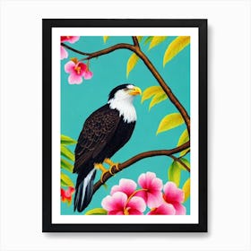 Bald Eagle 2 Tropical bird Art Print