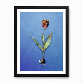 Vintage Tulip Botanical Art on Blue Perennial Art Print