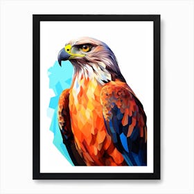 Colourful Geometric Bird Red Tailed Hawk 1 Art Print