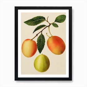 Gooseberry Watercolour Fruit Painting Fruit Art Print