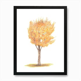 Trumpet Tree Art Print