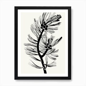 Pine Branch Black and White Ink Art Print