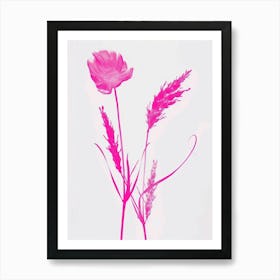 Hot Pink Fountain Grass 1 Art Print