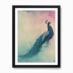 Pink & Turquoise Peacock Cyanotype Inspired Art Print