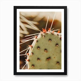 Up Close Cactus Art Print