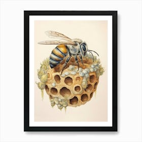 Blue Eyed Sweat Bee Beehive Watercolour Illustration 4 Art Print