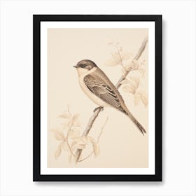 Vintage Bird Drawing Swallow 2 Art Print
