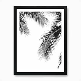 Palm Trees 78 Art Print