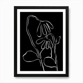 White Flowers Art Print