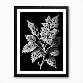 Calamint Leaf Linocut 1 Art Print