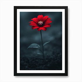 Red Flower On Soil In The Dark Art Print