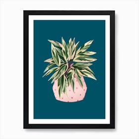 Calathea Triostar On Blue Art Print