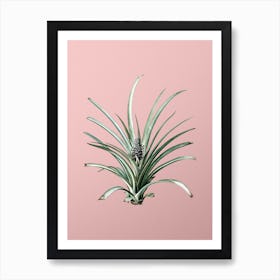 Vintage Pineapple Botanical on Soft Pink Art Print