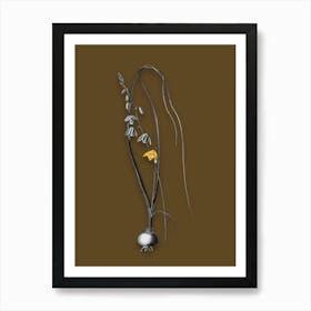 Vintage Albuca Black and White Gold Leaf Floral Art on Coffee Brown n.0760 Art Print